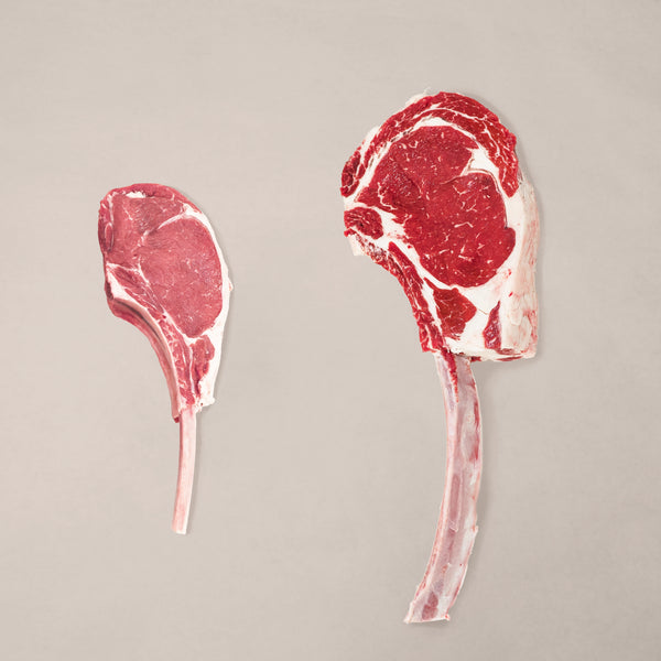Tomahawk Bundle